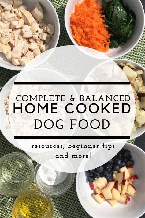 Cooking Homemade Healthy Dog Food Recipes Homemade Dog Treats Dog