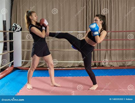 Kickboxing Girls Sparring Stock Photo Image Of Aggression 148335352