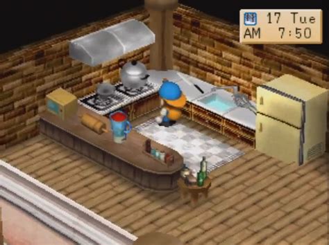 Cooking Recipes Btn The Harvest Moon Wiki Fandom Powered By Wikia