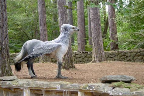 Pin By Soleilanna On Birthday Idea Hippogriff Harry Potter Harry
