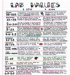 Printable Lab Values Nursing Printable Blank World