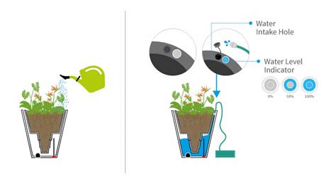 How Do Self Watering Pots Work