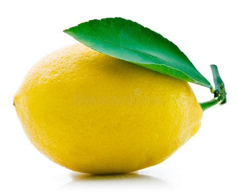 Citrons Avec Des Feuilles Disolement Sur Le Blanc Photo Stock Image