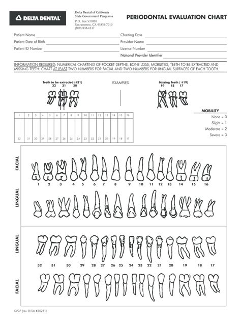 Printable Dental Charting Customize And Print