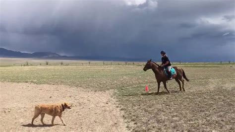 Jumping practice - YouTube