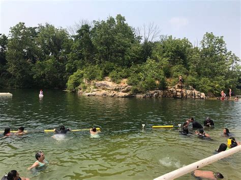 Many People Are Swimming In The Water Near Some Trees