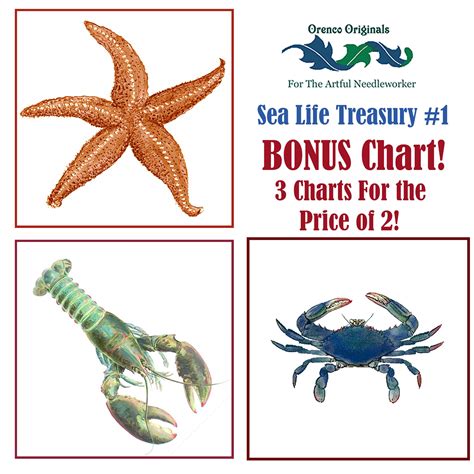 Beach Sea Life Deluxe Treasury 1 Three Counted Cross Stitch Patterns