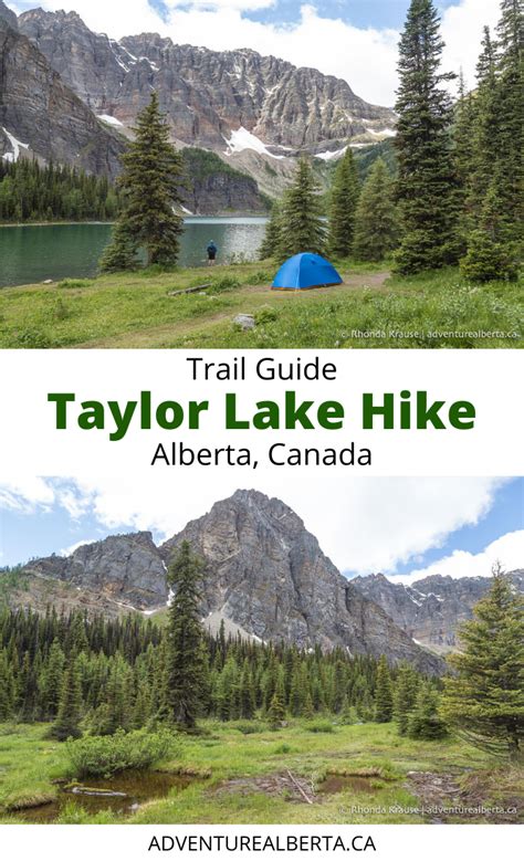 Taylor Lake Hike Banff National Park Artofit