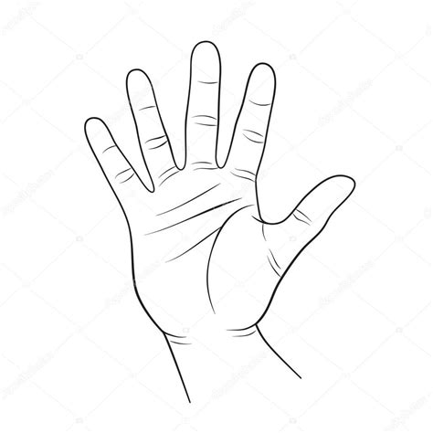 Human Palm Outline Stock Vector Image By ©ollymolly 105761490