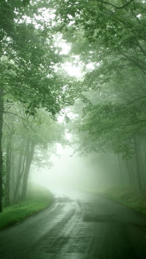 Forest Mist Iphone Wallpapers Free Download