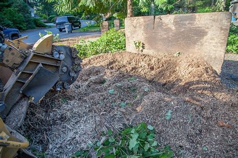 What are wood chip mulch pros and cons? Stump Grinding Removal Service Seattle