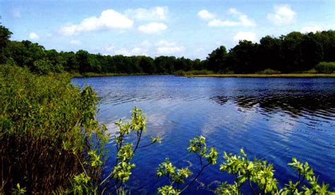 Browse 7,964 belarus nature stock photos and images available, or start a new search to explore more stock photos and images. Smychok Belarus Republican Landscape Reserve