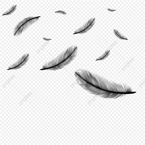 Falling Feather Clip Art 10 Free Cliparts Download Images On