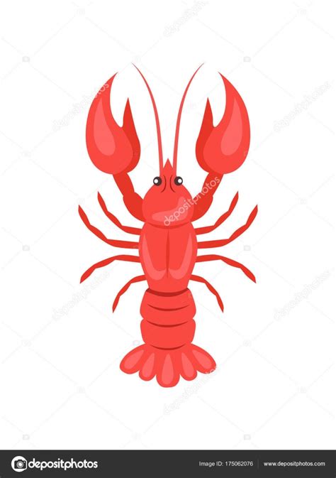 Red Crayfish Vector Illustration Isolated On White Stock Vector Image