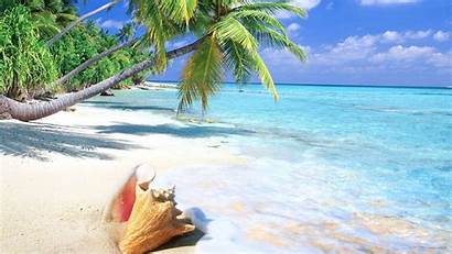Wallpapers Tropical Bahamas Beach Ocean Summer Sea