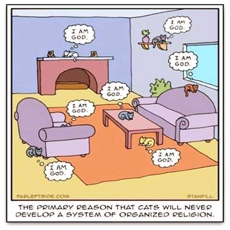 Cartoon Jokes Cartoon Cat Funny Cartoons Funny Comics Cute Cats