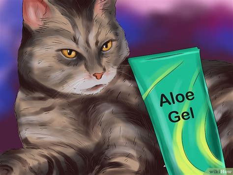 Como Tratar um Gato Que Foi Picado de Abelha: 9 Passos