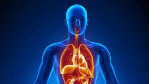 Are you wondering how long does coke stay in your system? how long does crack cocaine stay in your system | Public ...