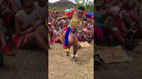 beautiful zulu swazi maidens performing the reed dance youtube