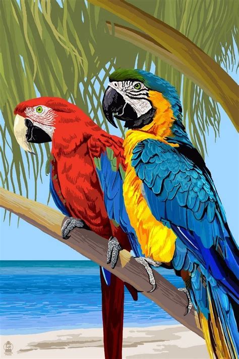 Retro Poster Of Tropical Birds Parrots Retro Poster By Lantern