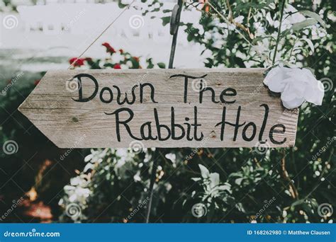 Down The Rabbit Hole Sign Stock Photo Image Of Themen 168262980