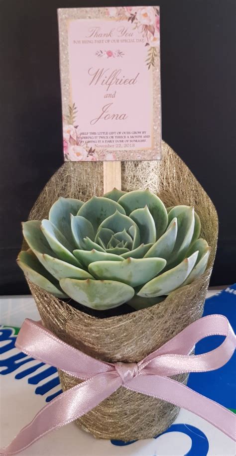 Pin By Davao Cactus And Succulents On Cactus And Succulent Party Favors