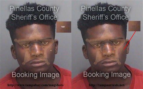 Pinellas County Jail Records