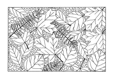 #598979 autumn coloring pages for adults fall pdf sheets � cannexus.co #598996 Medley of Fall Leaves Adult Coloring Page | FaveCrafts.com