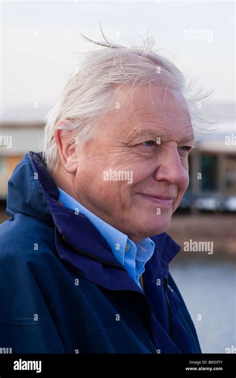 Sir David Attenborough Hi Res Stock Photography And Images Alamy