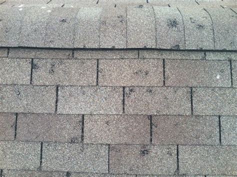 Does Your Roof Have Hail Damage