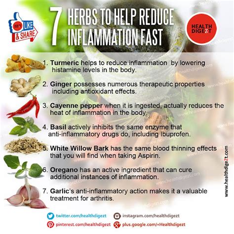 Rainbowdiary Herbs To Reduce Inflammation