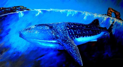 3840x2105 Whale Shark 4k Wallpapers Hd High Resolution Whale Shark
