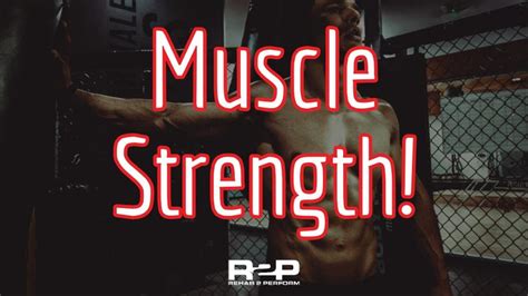 Strength And Longevity With Muscle Mass Rehab 2 Perform