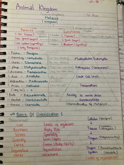 Biology Notes Class11 Animal Kingdom Biology Notes Learn Biology
