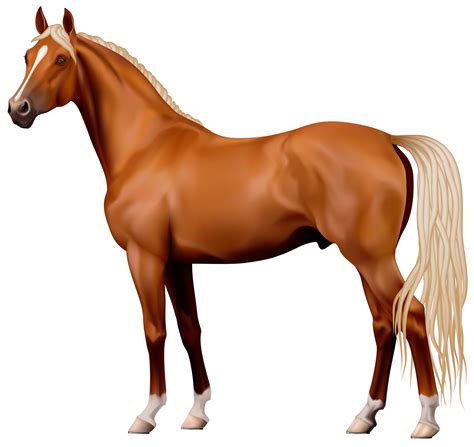 Pictures Of Horses Clipart At Getdrawings Free Download