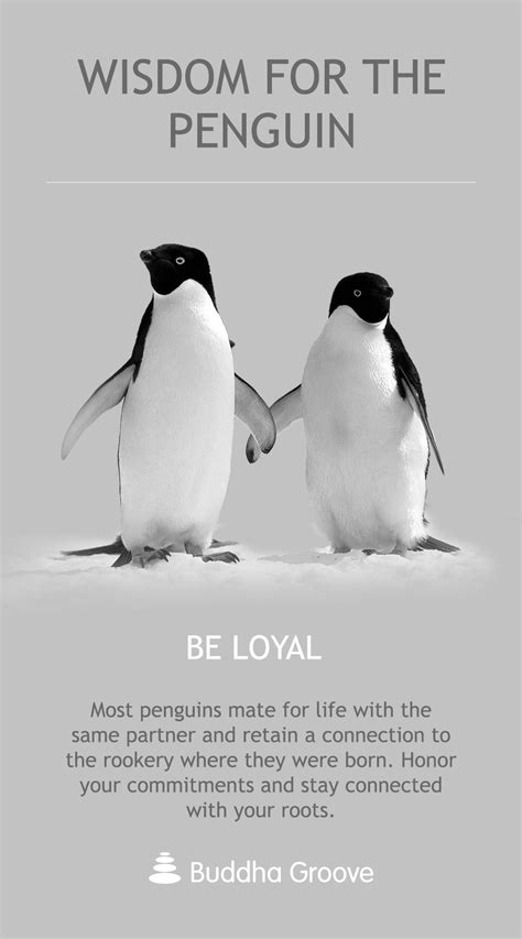 Explore our collection of motivational and famous quotes by authors you know penguin quotes. Wisdom from the Penguin: Be Loyal | Penguins, Penguin pictures, Penguin quotes