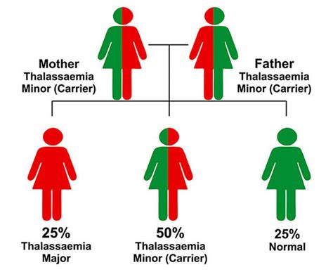 Thalassemia Origin Thalassemia Beta Thalassemia Major Causes Gambaran