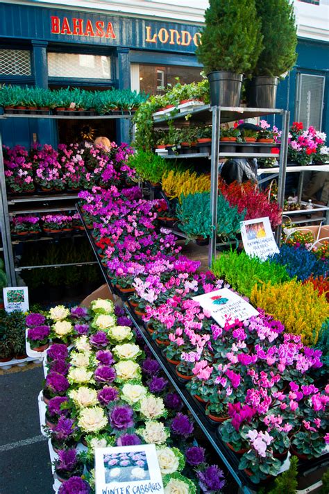 Columbia Road Flower Market Mercado De Las Flores En Hackn Flickr