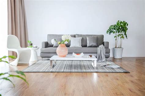 Living Room Images Free Hd Background Photos Pngs Vectors