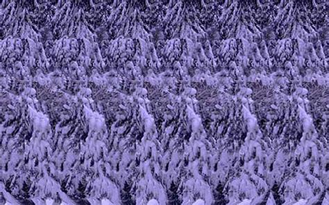 Awesome!: Optical Illusions
