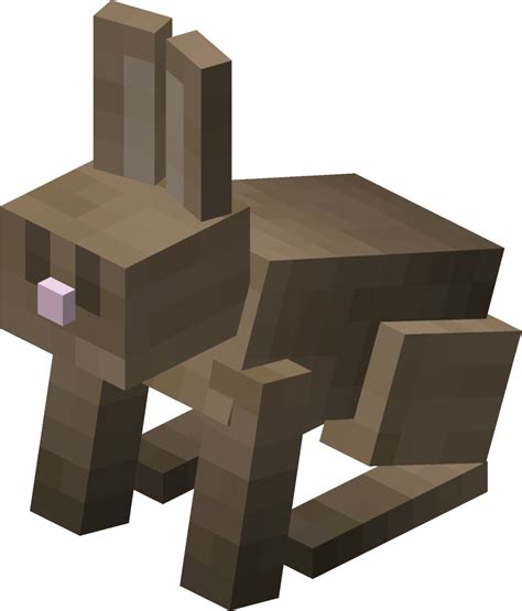 Rabbit Minecraft Wiki Fandom Powered By Wikia