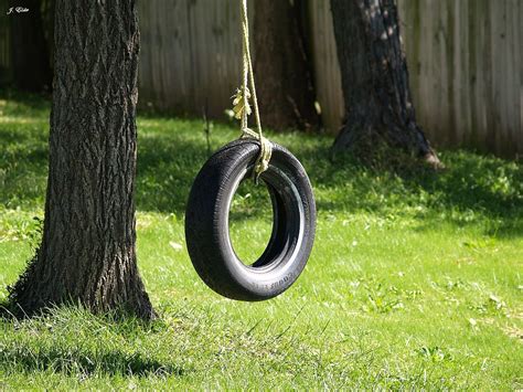 The Browns Had A Great Old Tire Swing Hanging From Their Hickory Tree