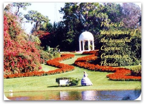 Located in naples, florida, this wonderful resort is close to everything, yet feels like a secluded oasis. Pictures of the beautiful Cypress Gardens in Florida ...