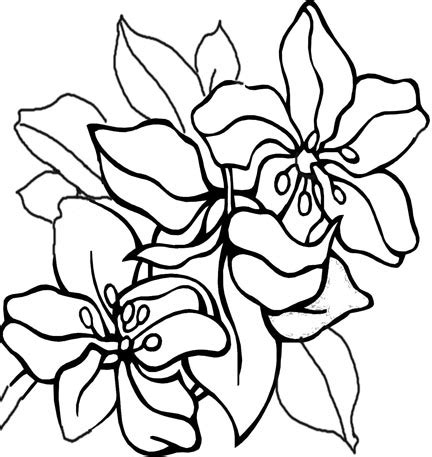 kids coloring pages  creative fun