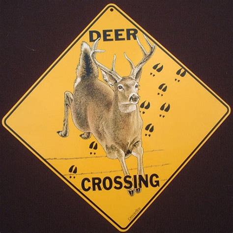 Deer Crossing Sign 16 12 By 16 12 New Picture Decor Wildlife Etsy Uk