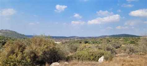 10 Best Hikes And Trails In Valley Of Elah National Park Alltrails
