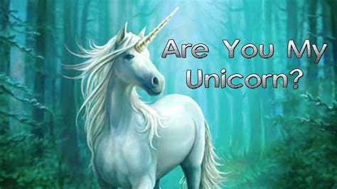 Are You My Unicorn Youtube