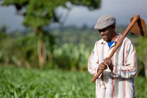 Transformative Impact Of Farmer Organizations In Ethiopia Nuru