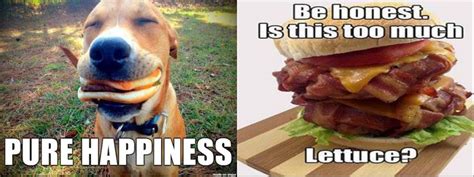 Delicious Cheeseburger Memes In Honor Of National Cheeseburger Day National Cheeseburger Day