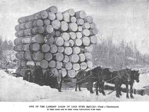 Old Logging Camps Of Michigan 19th Century Historical Tidbits